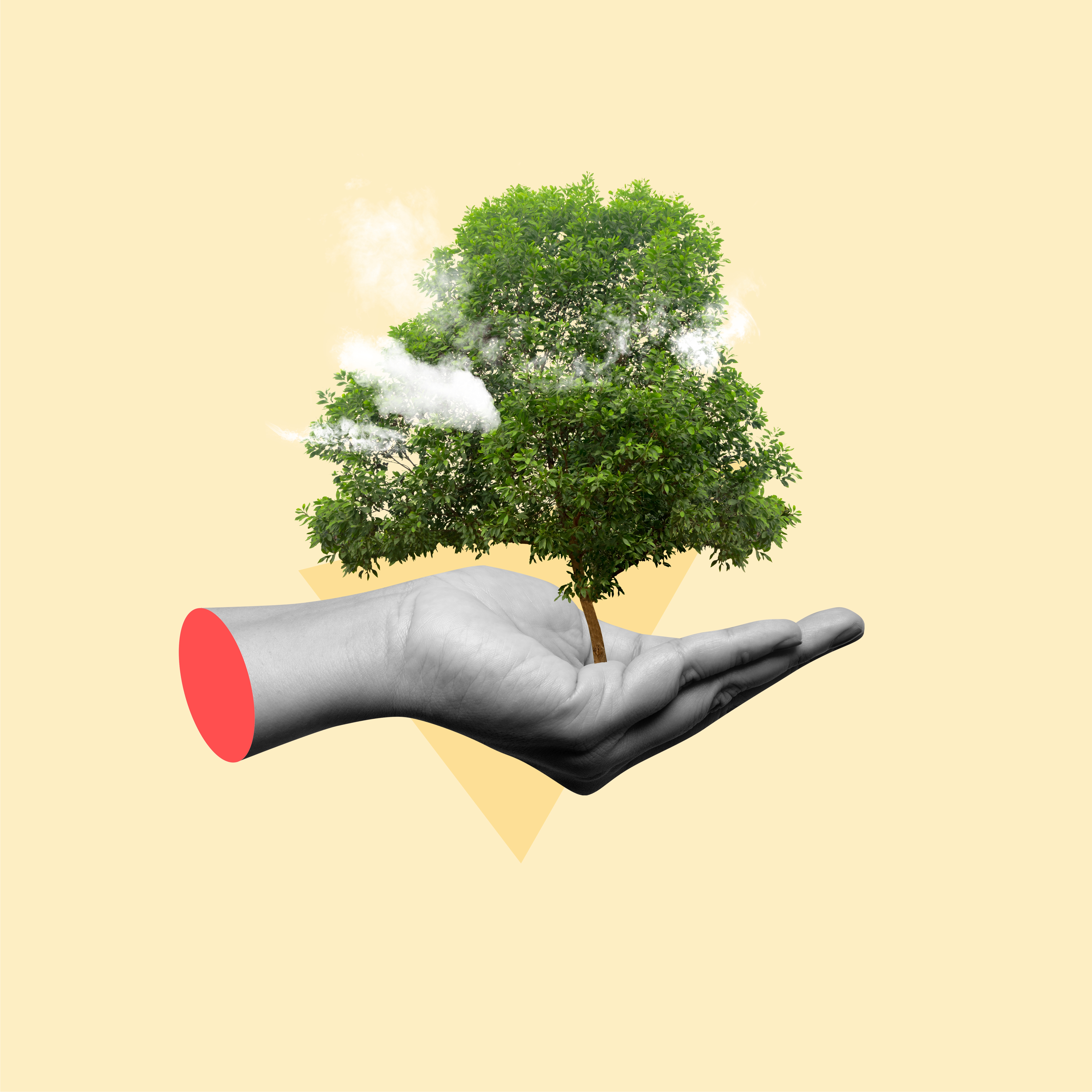 Main tenant un arbre vert